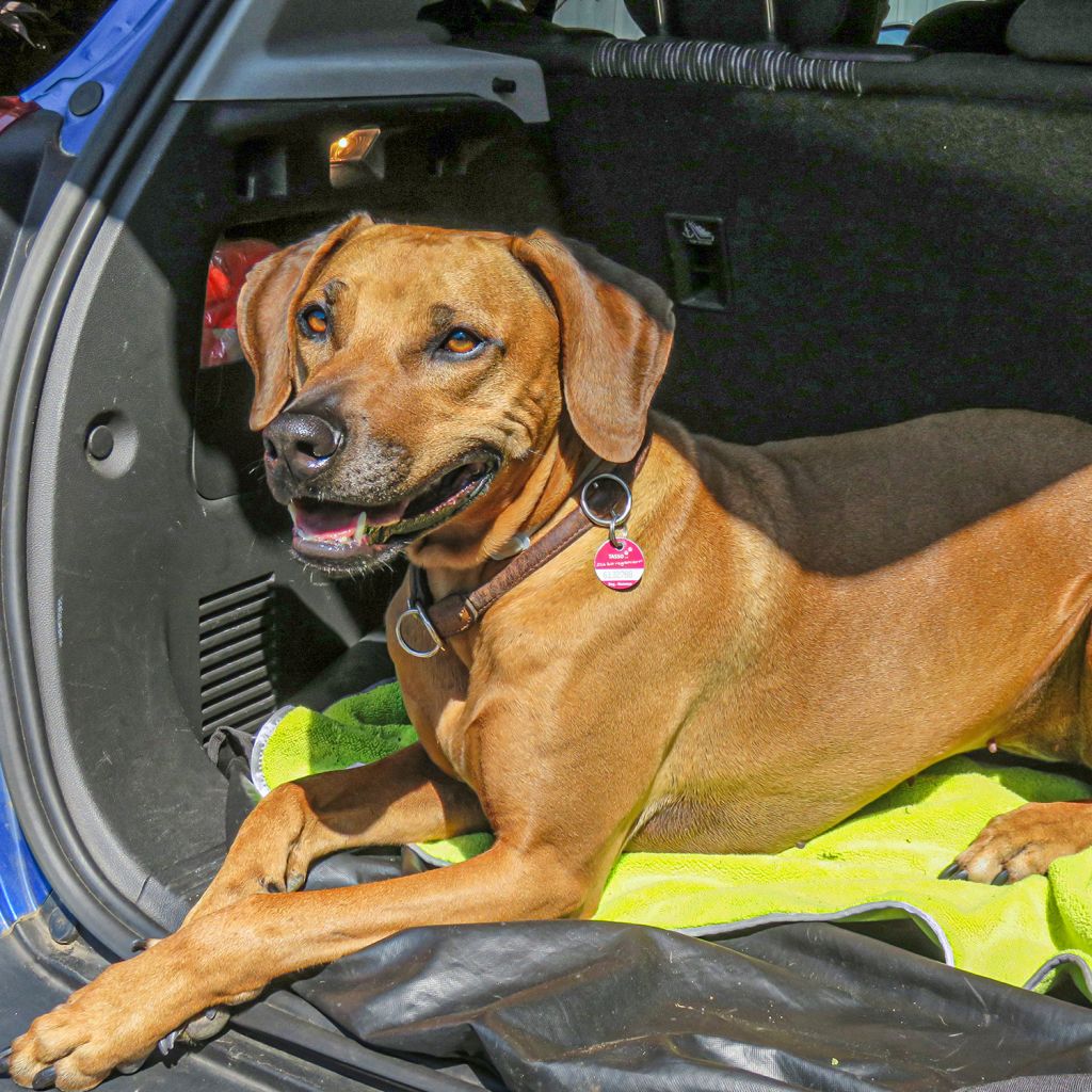 Awiwa Ručník pro vašeho mazlíčka