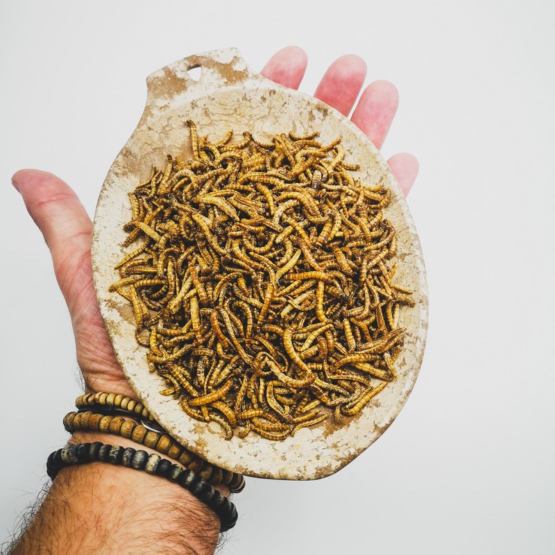 JUBÖ Jedlí ČERVI Potemníka moučného se SOLÍ - 50g